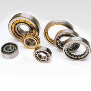 Cylingdrical roller bearings